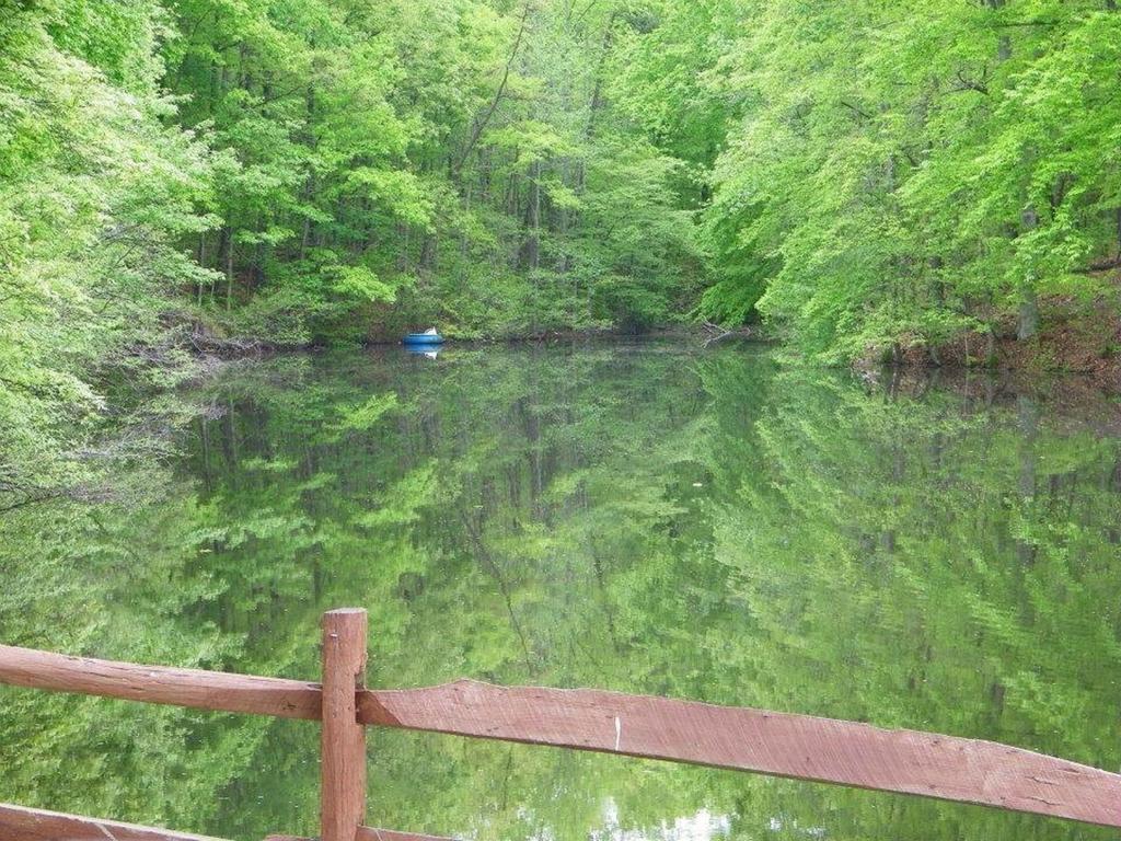 Lake Myers Lakeside Villa 16 Mocksville Esterno foto